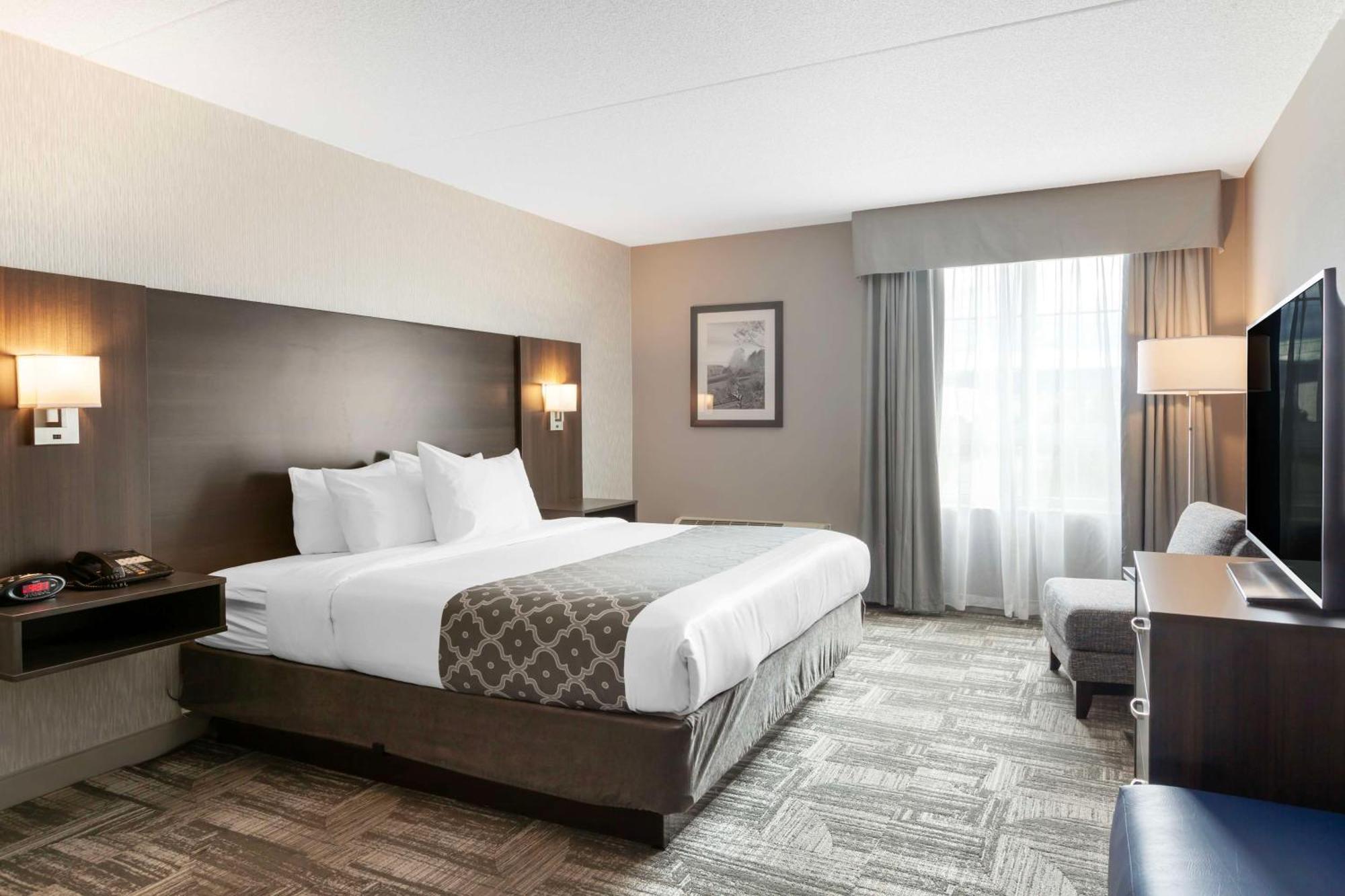 Suite King